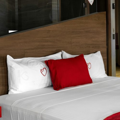 pexels-leonardo-aquino-246345118-28174032